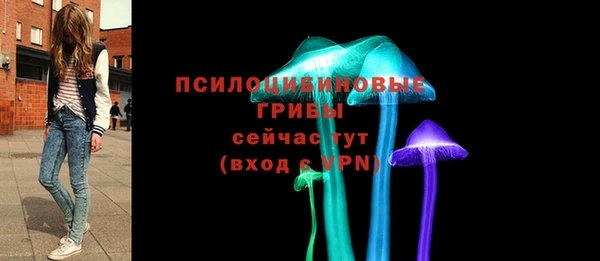 хмурый Анжеро-Судженск