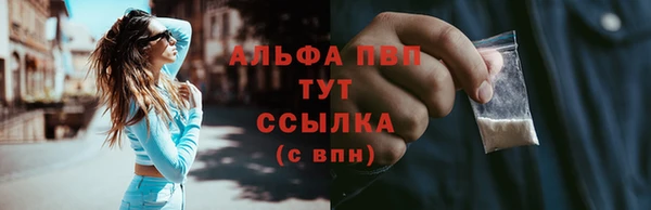 хмурый Анжеро-Судженск