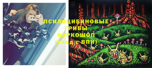 не бодяженный Апатиты