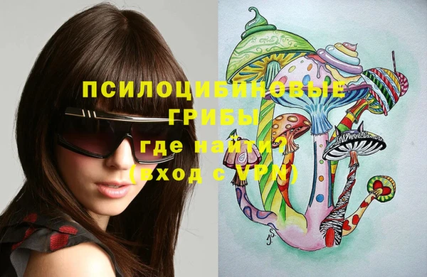 хмурый Анжеро-Судженск