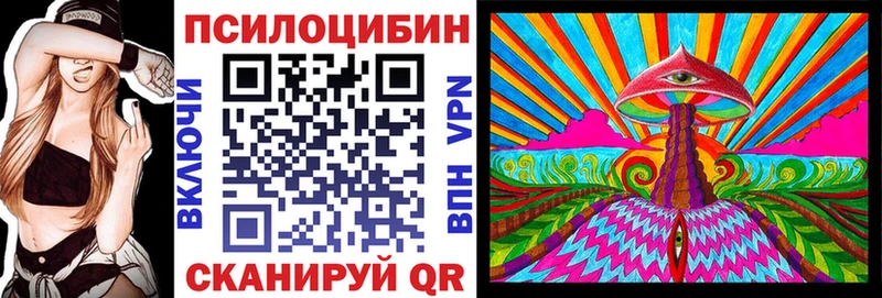 Галлюциногенные грибы Psilocybe как найти наркотики darknet телеграм Карачаевск