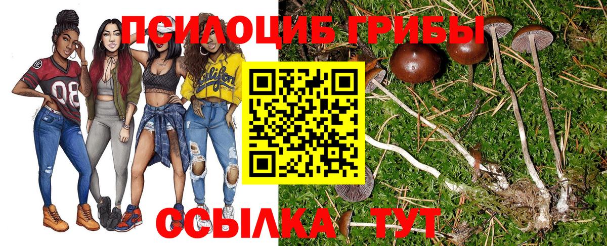 Псилоцибиновые грибы GOLDEN TEACHER Карачаевск