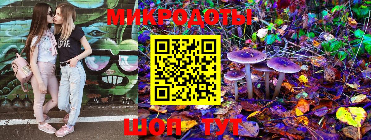 Псилоцибиновые грибы Cubensis Карачаевск